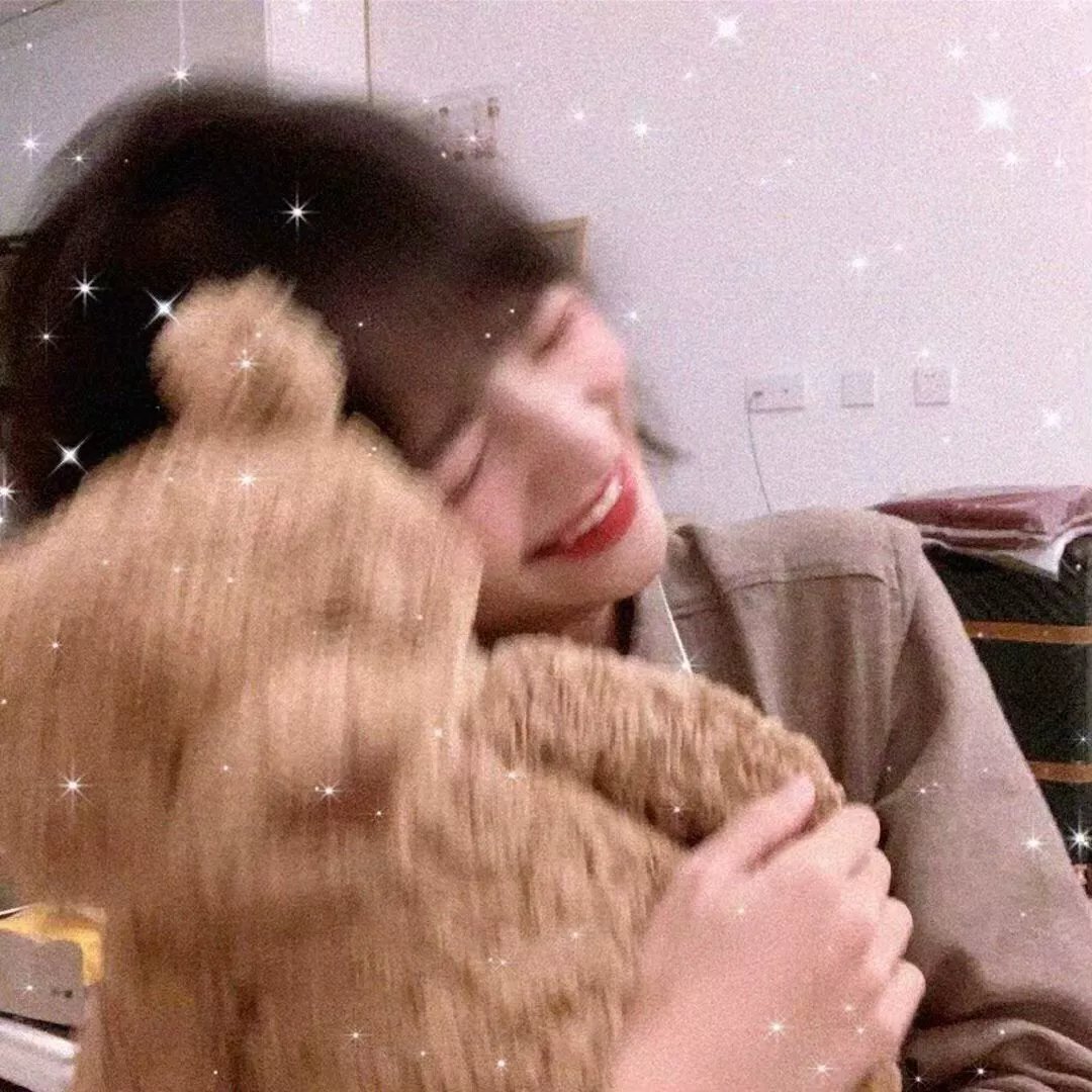 双生赤狐